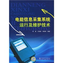 电能信息采集系统运行及维护技术 信息系统运行维护服务的关键实践