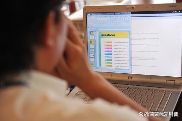 2025年度资讯:大理州强制隔离戒毒所机关信息系统维护服务项目